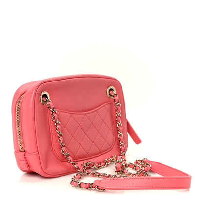 Chanel Lambskin Crystal Strass Mania Camera Case Pink 3 of 10