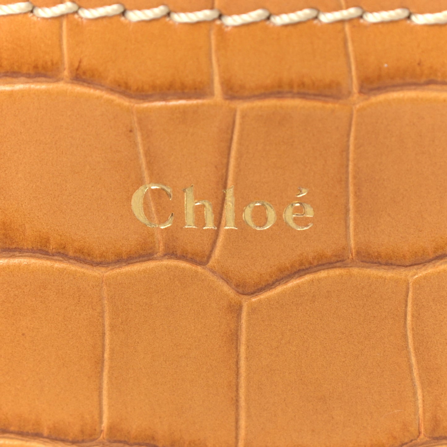 Calfskin Crocodile Embossed Small Daria Autumnal Brown