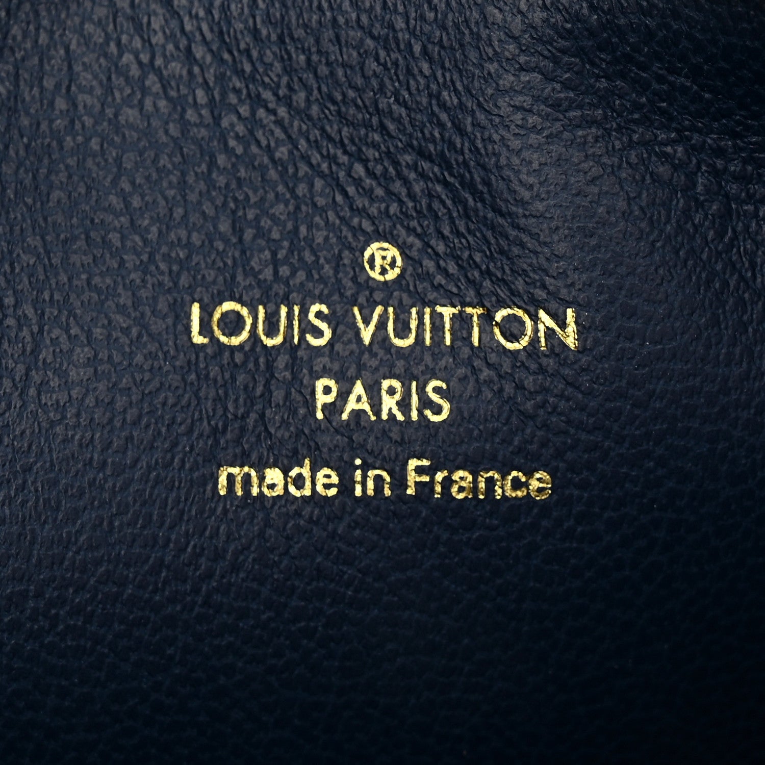 Louis Vuitton Lambskin Embossed Monogram Coussin PM Taupe 8 of 13