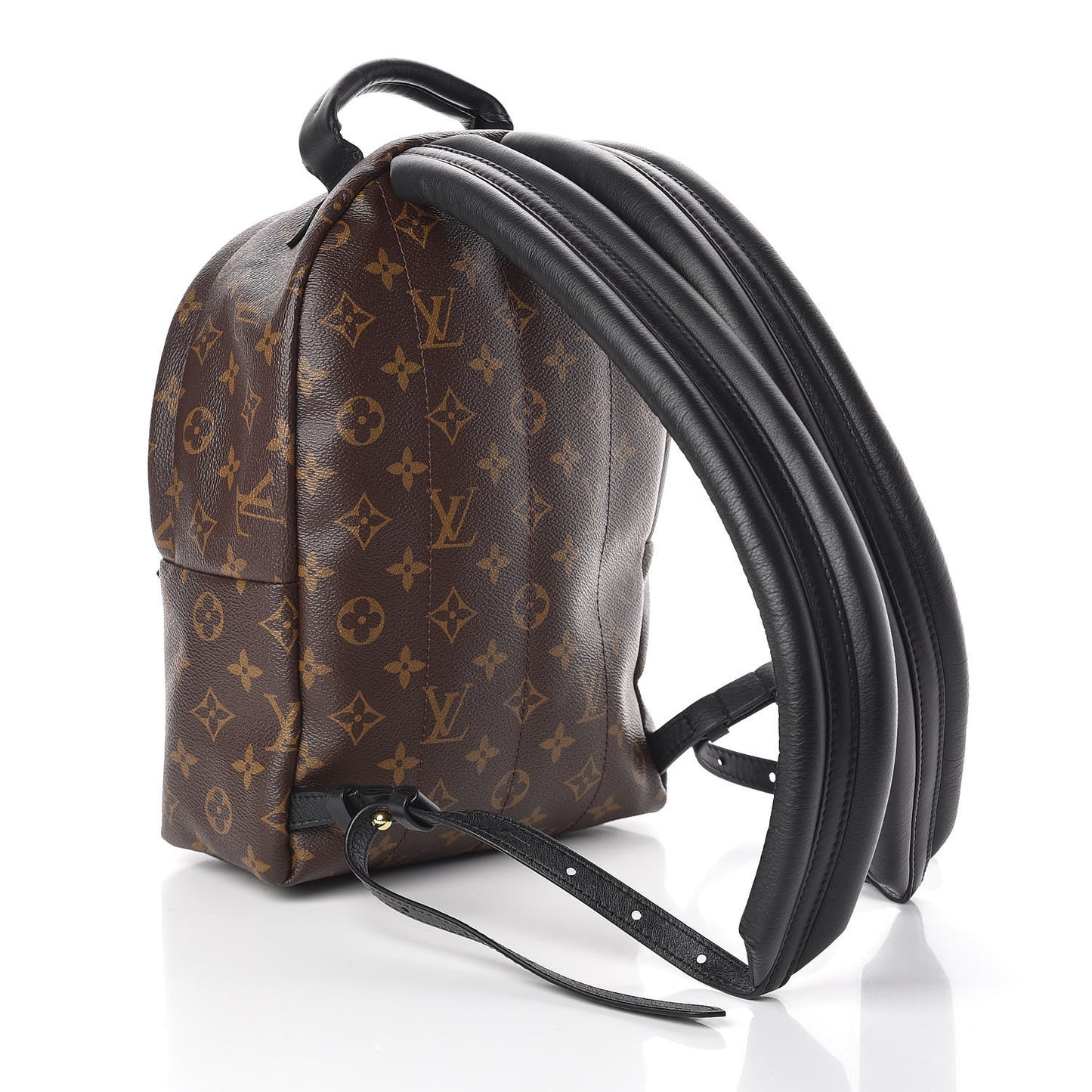 Monogram Palm Springs Backpack PM