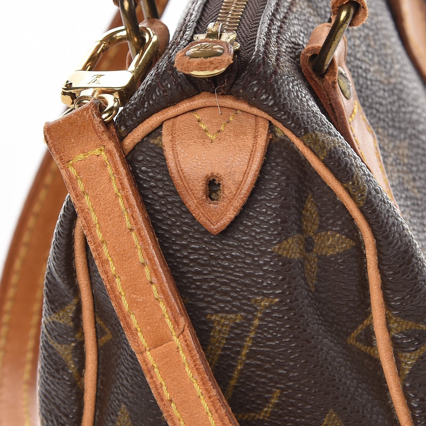 Monogram Mini Sac HL Speedy