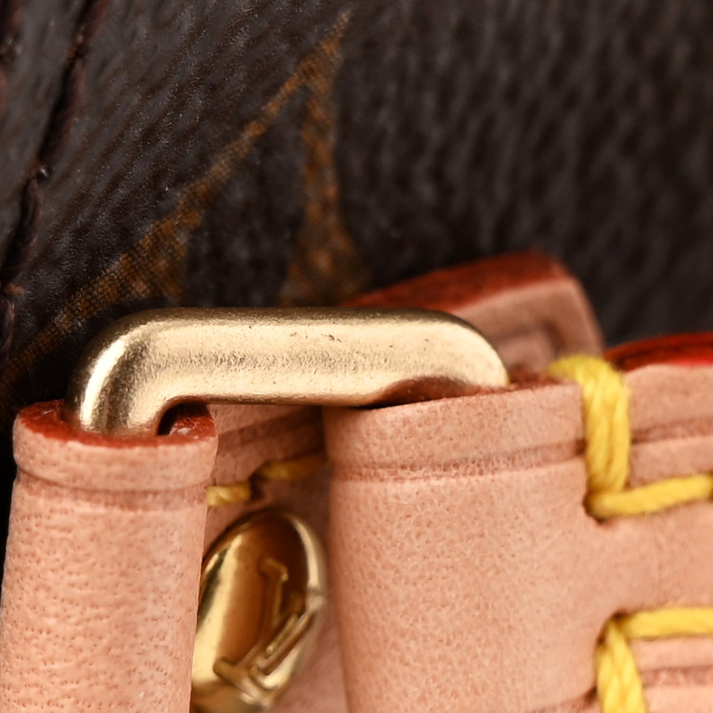 Monogram Nano Speedy