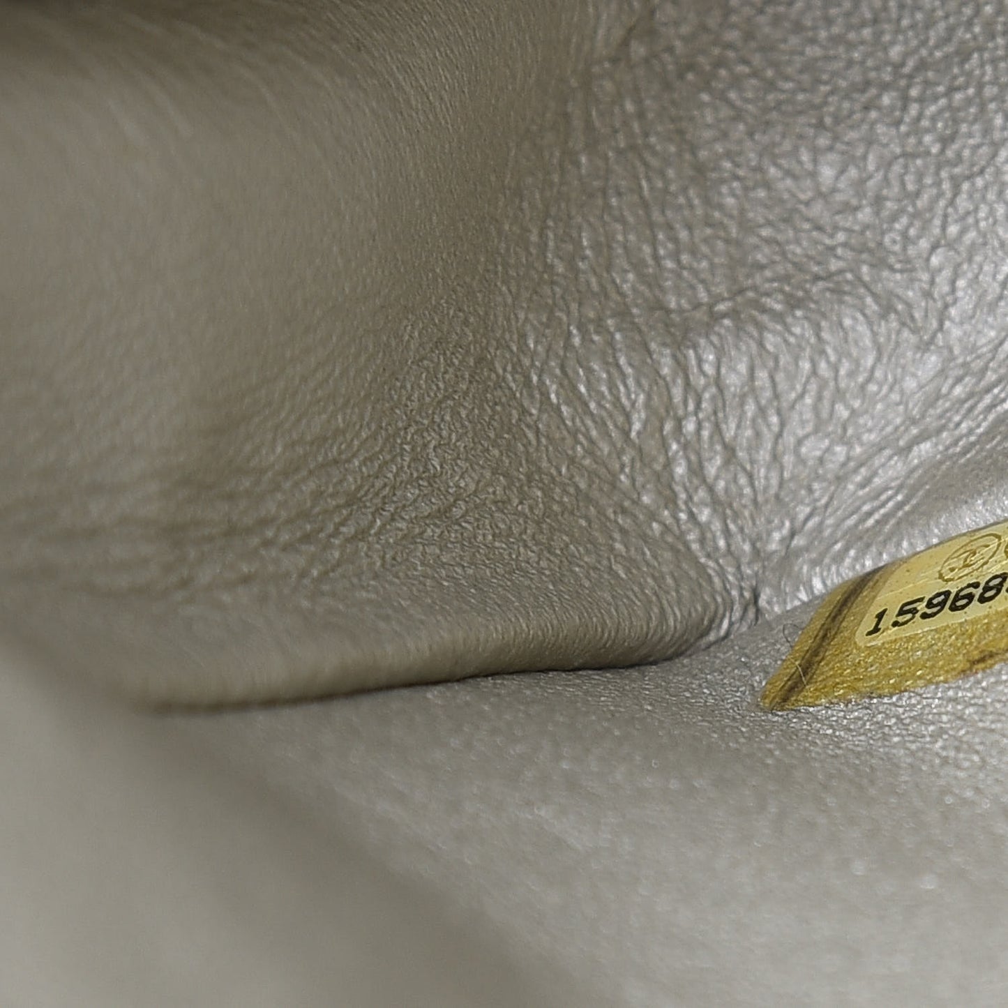 Iridescent Calfskin Medium Double Flap Light Gold