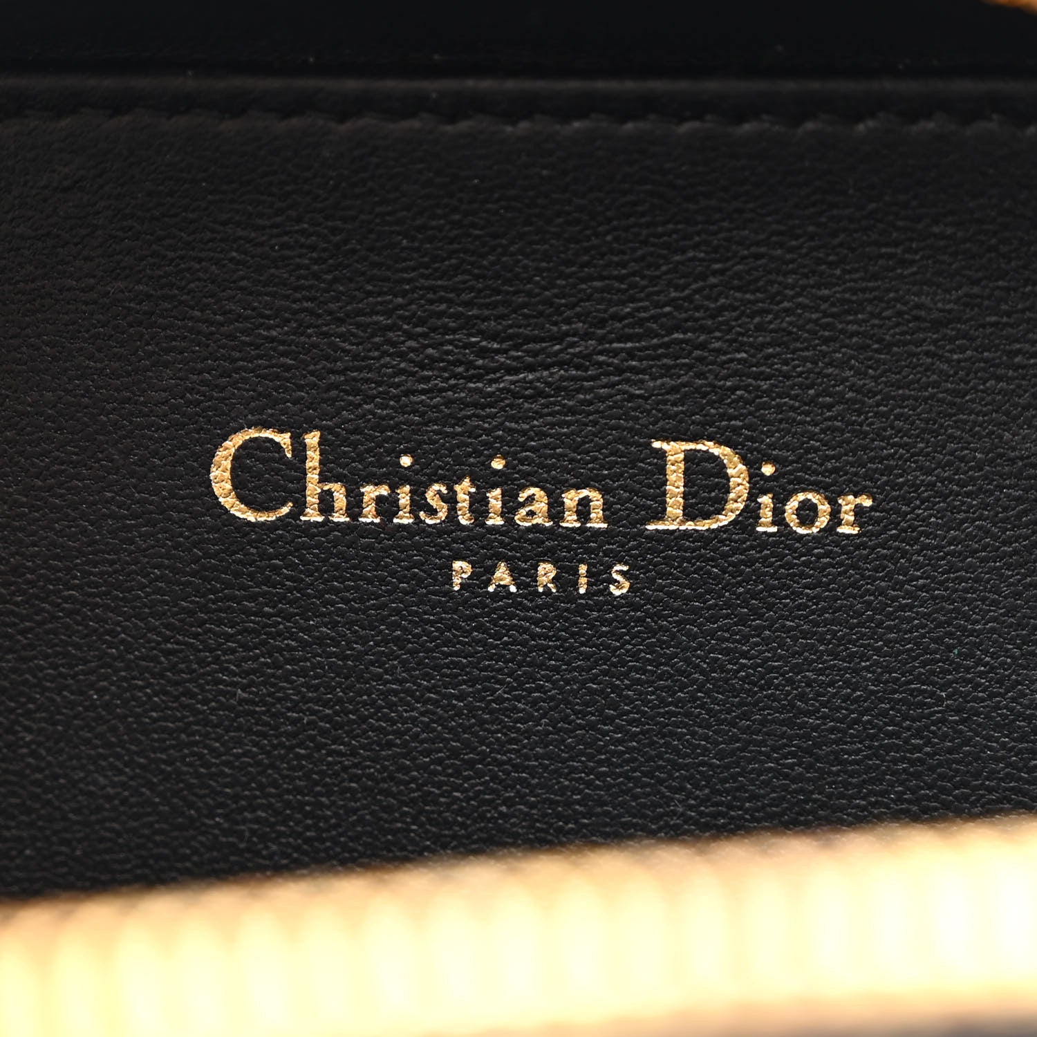 Christian Dior Calfskin CD Signature Oval Crossbody Camera Bag