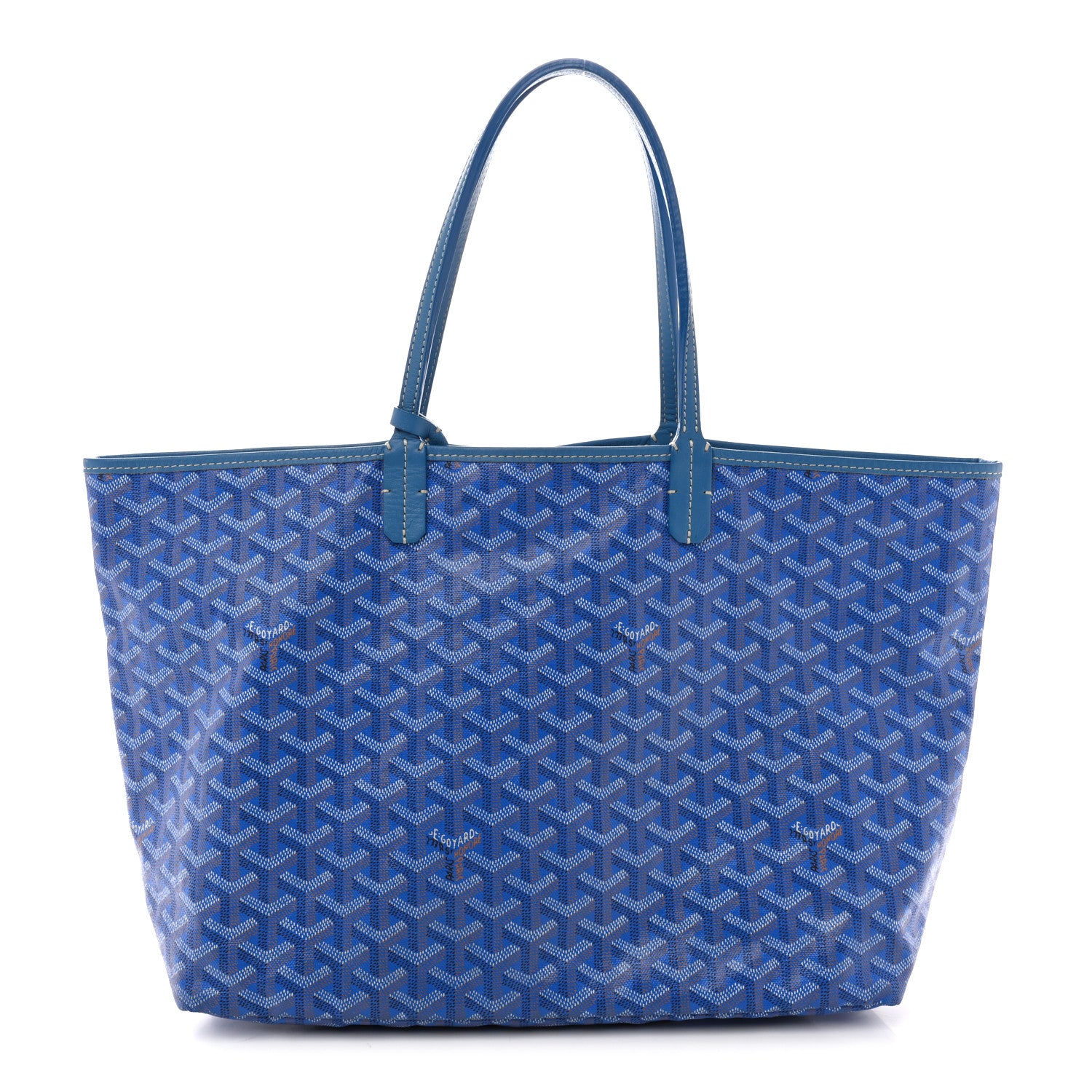 Goyard Goyardine Saint Louis PM Sky Blue 1 of 15