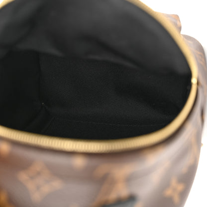 Louis Vuitton Monogram Palm Springs Backpack Mini 5 of 11