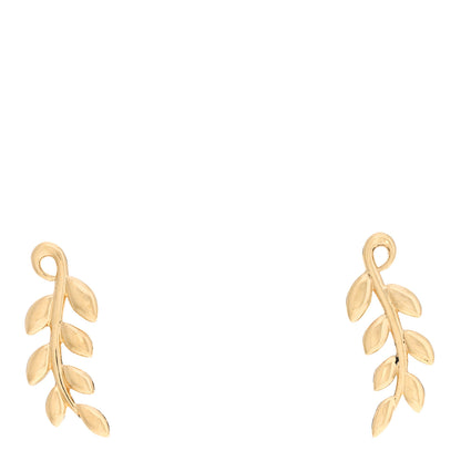 Tiffany 18K Yellow Gold Paloma Picasso Olive Leaf Climber Earrings 1 of 4