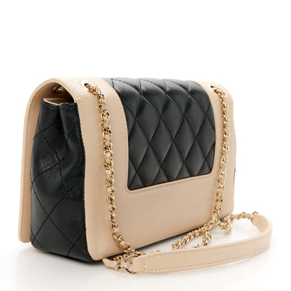 Chanel Sheepskin Quilted Medium Vintage Mademoiselle Flap Beige Black 2 of 12
