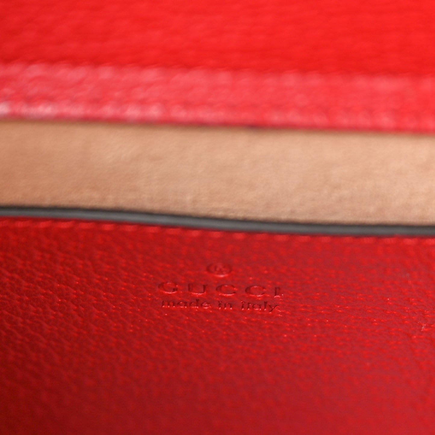 Textured Dollar Calfskin Web Mini Diana Tote Bag Red