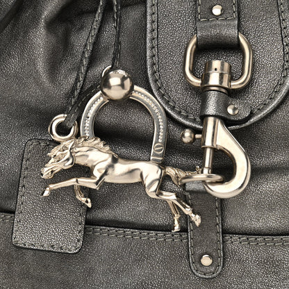 Chloe Metallic Calfskin Kerala Bag Canon 7 of 11