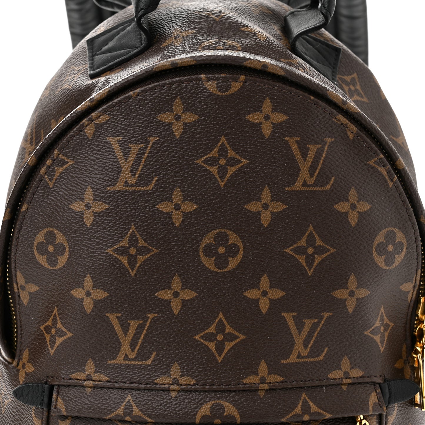 Monogram Palm Springs Backpack PM