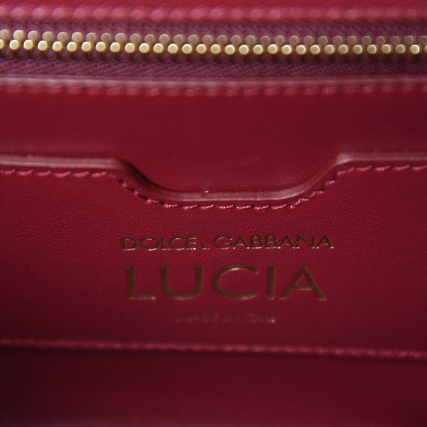 Iguana Calfskin Embossed Lucia Top Handle Bag Black