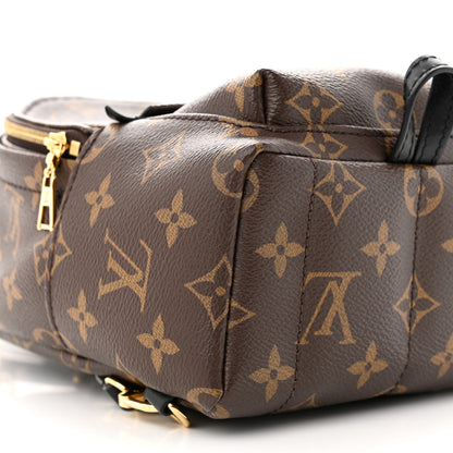 Louis Vuitton Monogram Palm Springs Backpack Mini 8 of 11