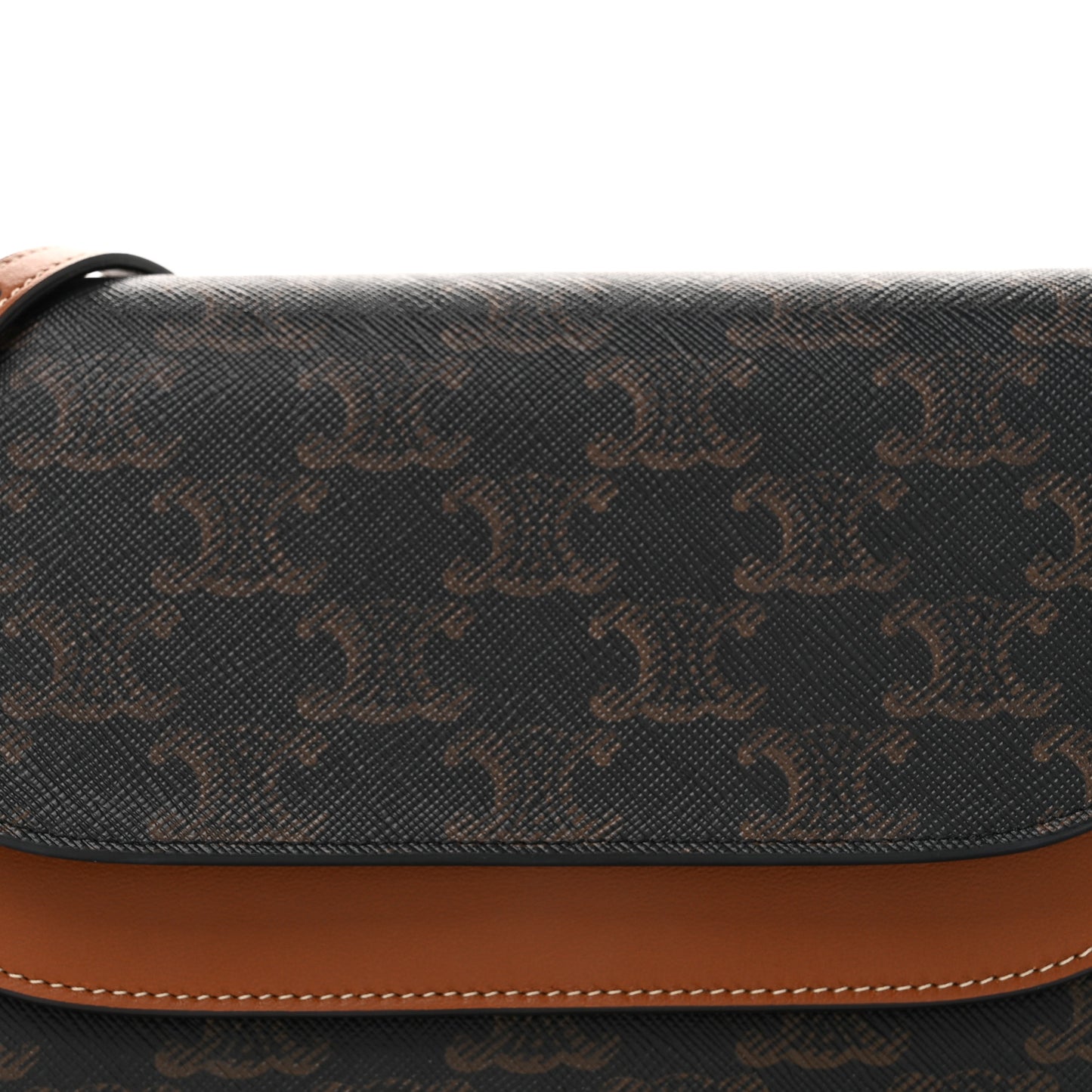 Triomphe Canvas Lambskin Wallet On Strap Tan