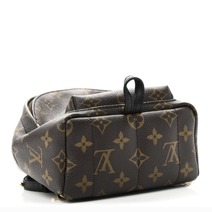 Louis Vuitton Monogram My World Tour Palm Springs Backpack Mini 4 of 10