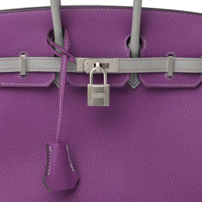 Hermes Togo Horseshoe Birkin 25 Anemone Gris Mouette 8 of 11
