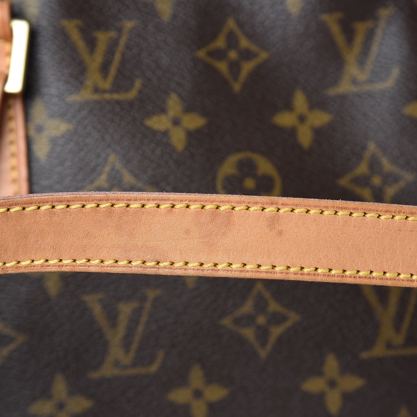 Monogram Cabas Mezzo
