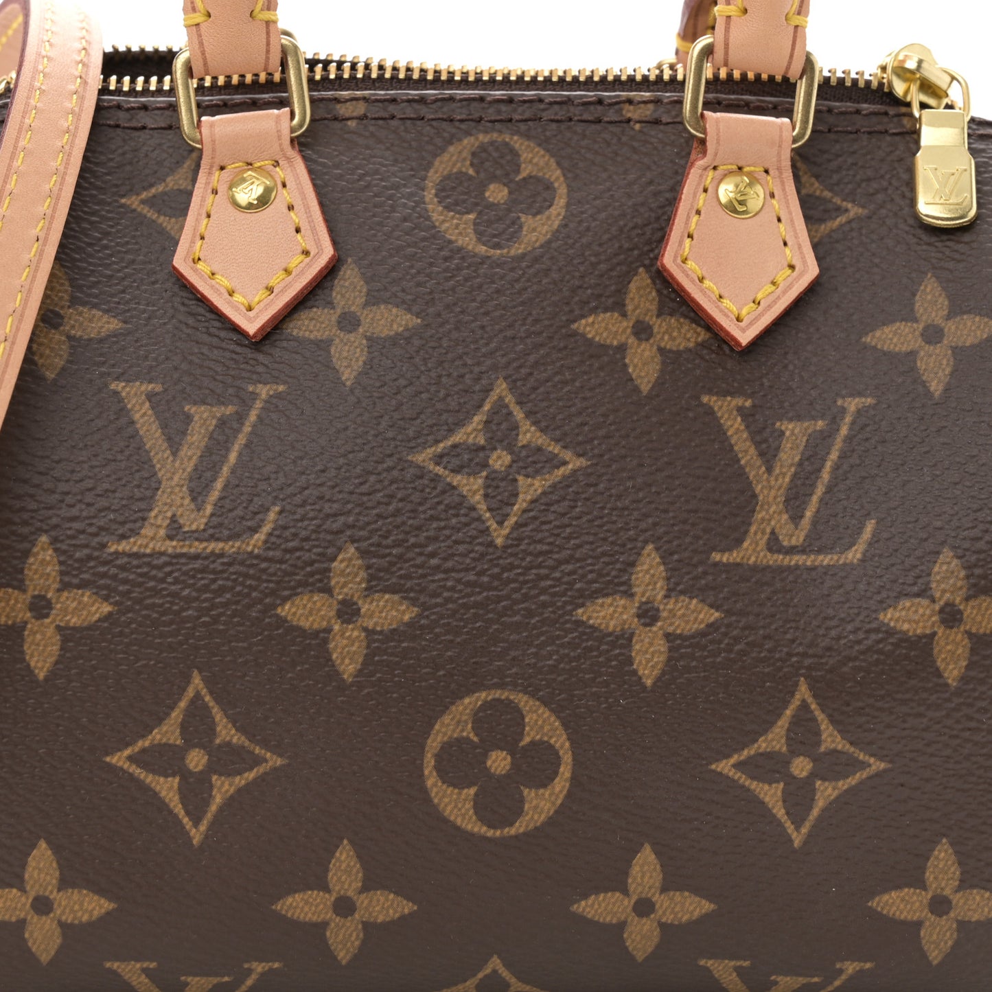 Monogram Nano Speedy