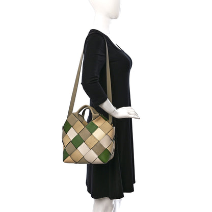 Loewe Calfskin Woven Small The Surplus Collection Basket Bag Avocado Ivory 3 of 19