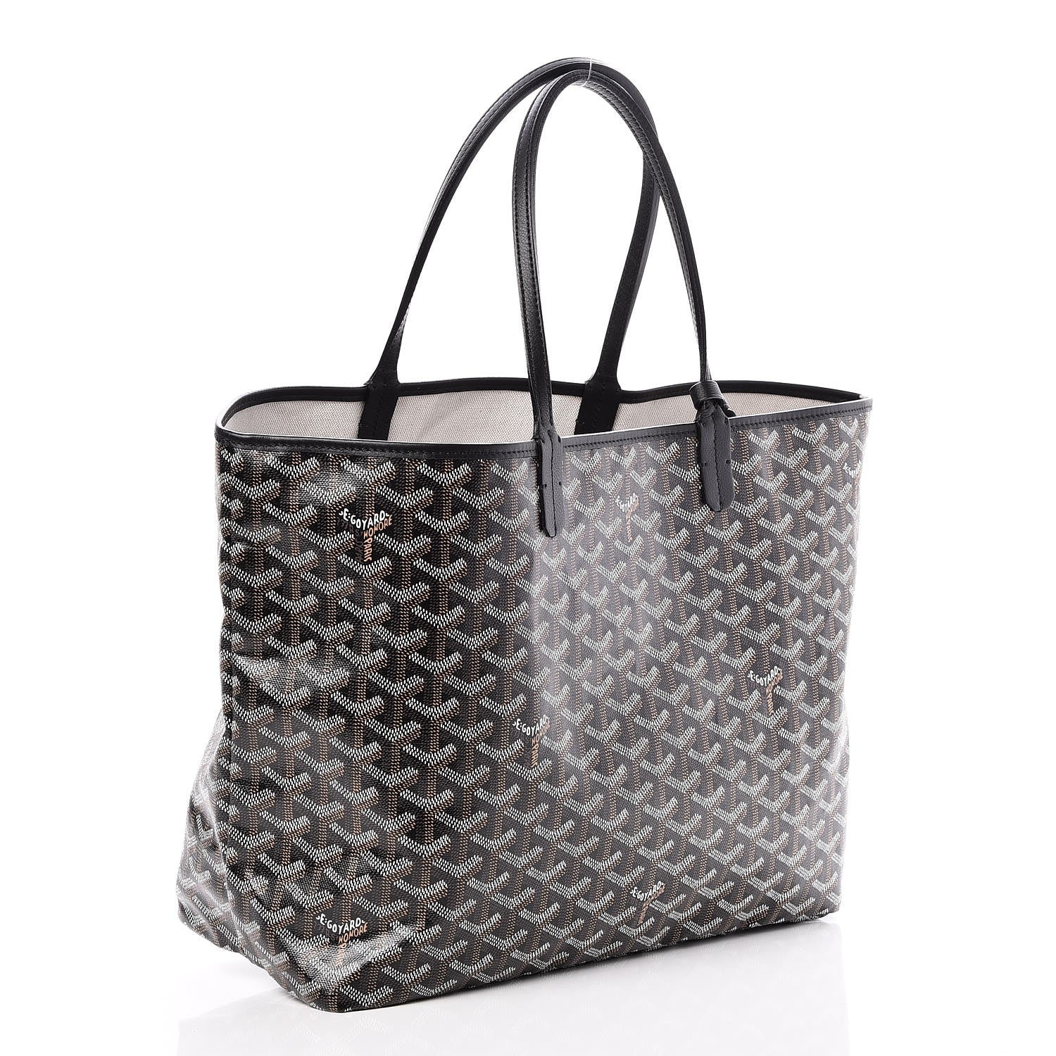 Goyard Goyardine Saint Louis PM Black 3 of 7