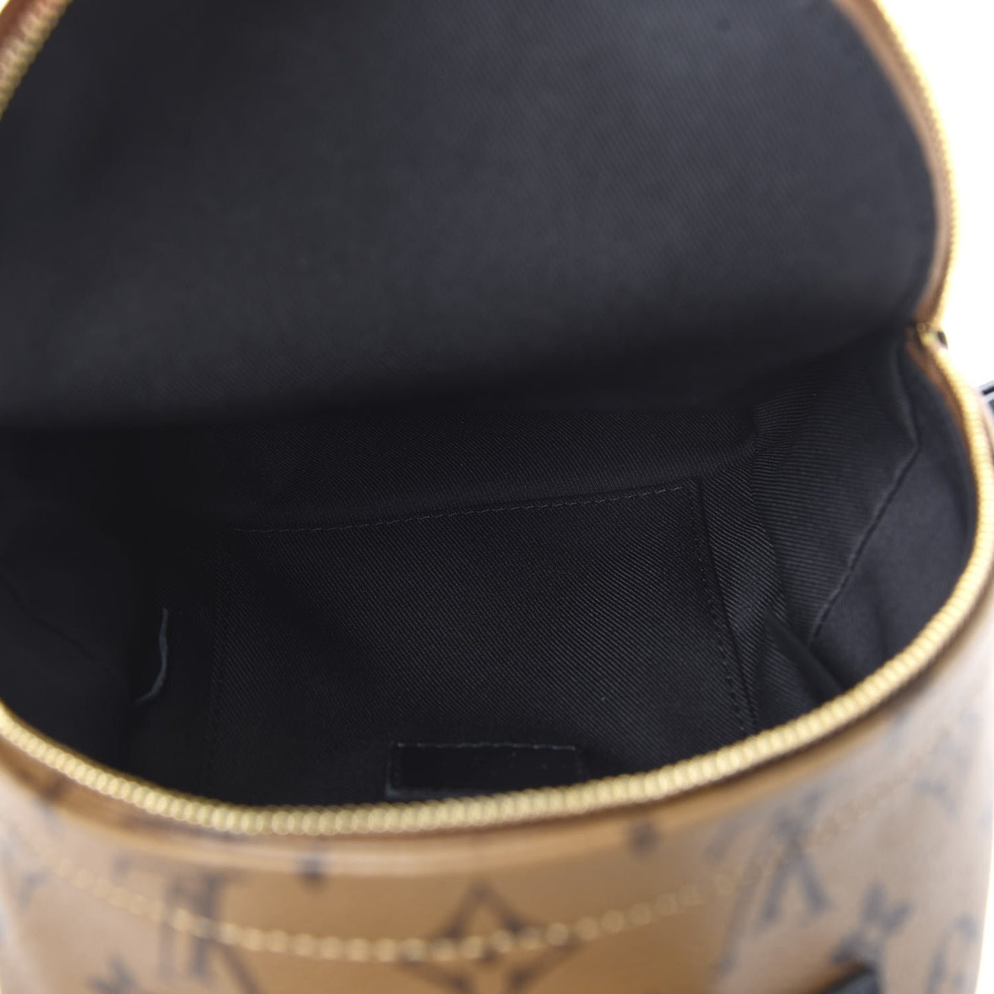 Reverse Monogram Palm Springs Backpack Mini