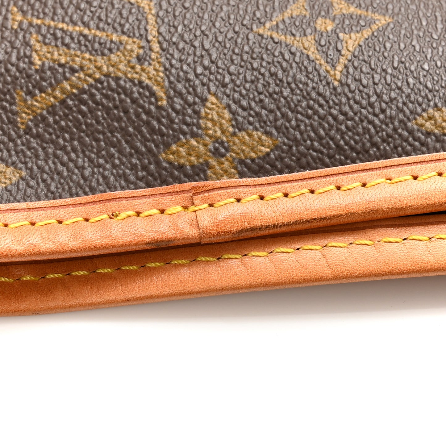 LOUIS VUITTON Monogram Garment Cover 2 Hangers