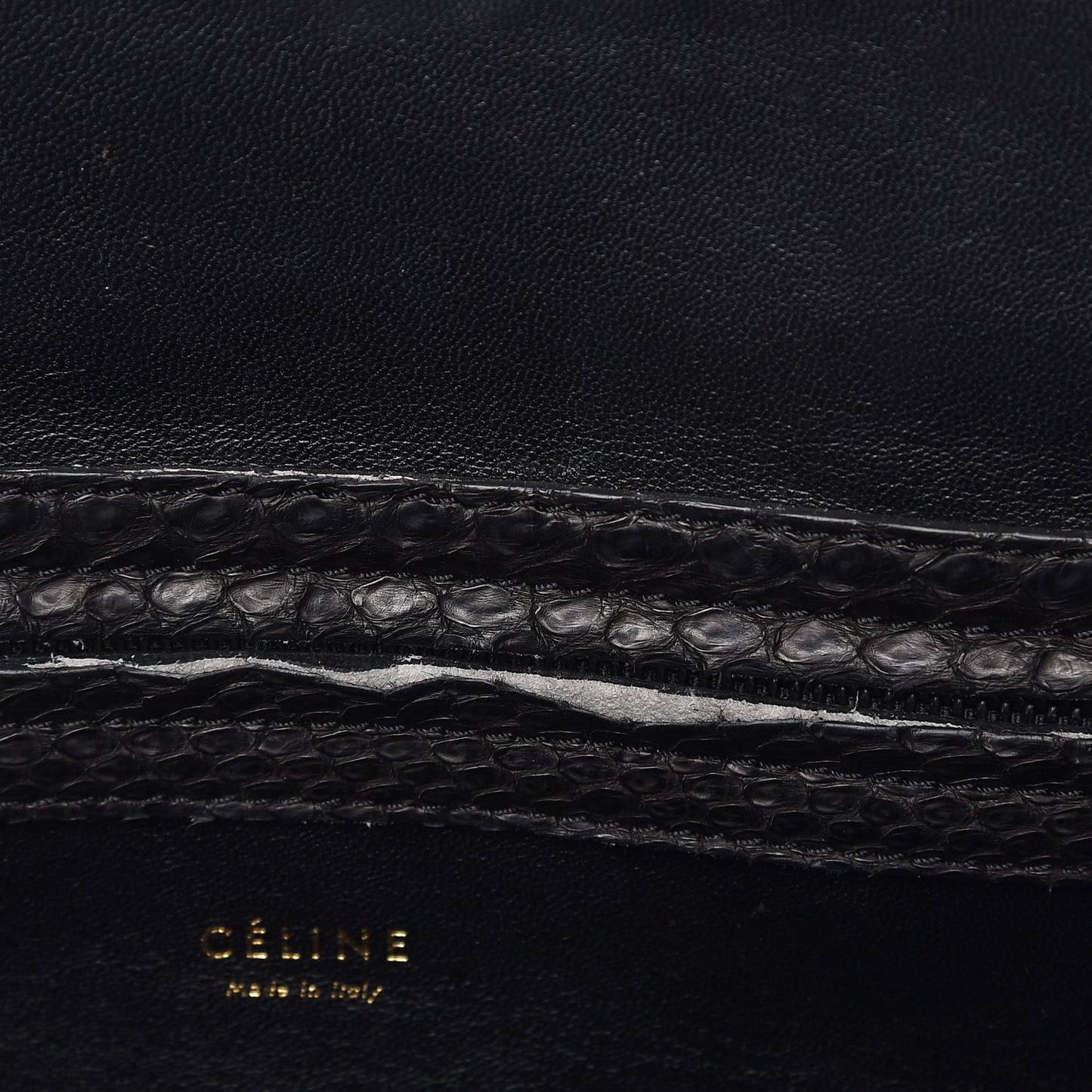 Python Medium Phantom Luggage Black