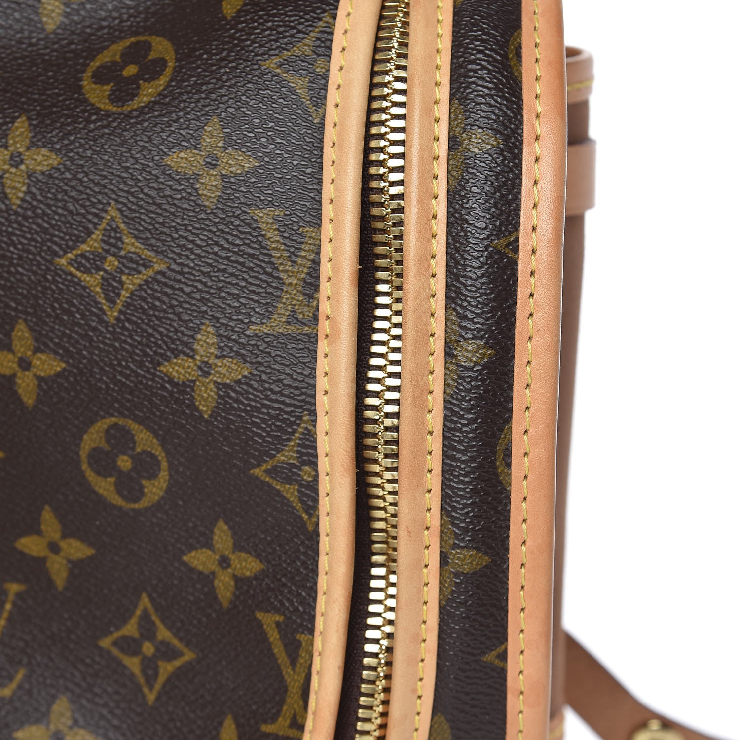 Louis Vuitton Monogram Sac Chien 40 Pet Carrier 8 of 17
