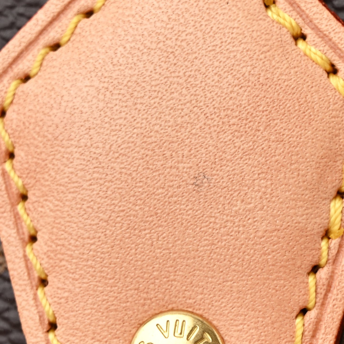 Monogram Speedy 35