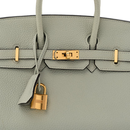 Hermes Togo Birkin 25 Gris Neve 8 of 14