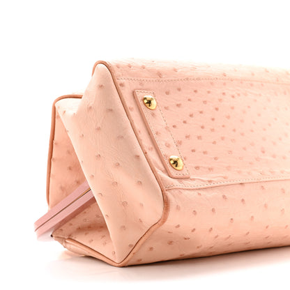 Louis Vuitton Ostrich Frame Speedy Pink 9 of 13