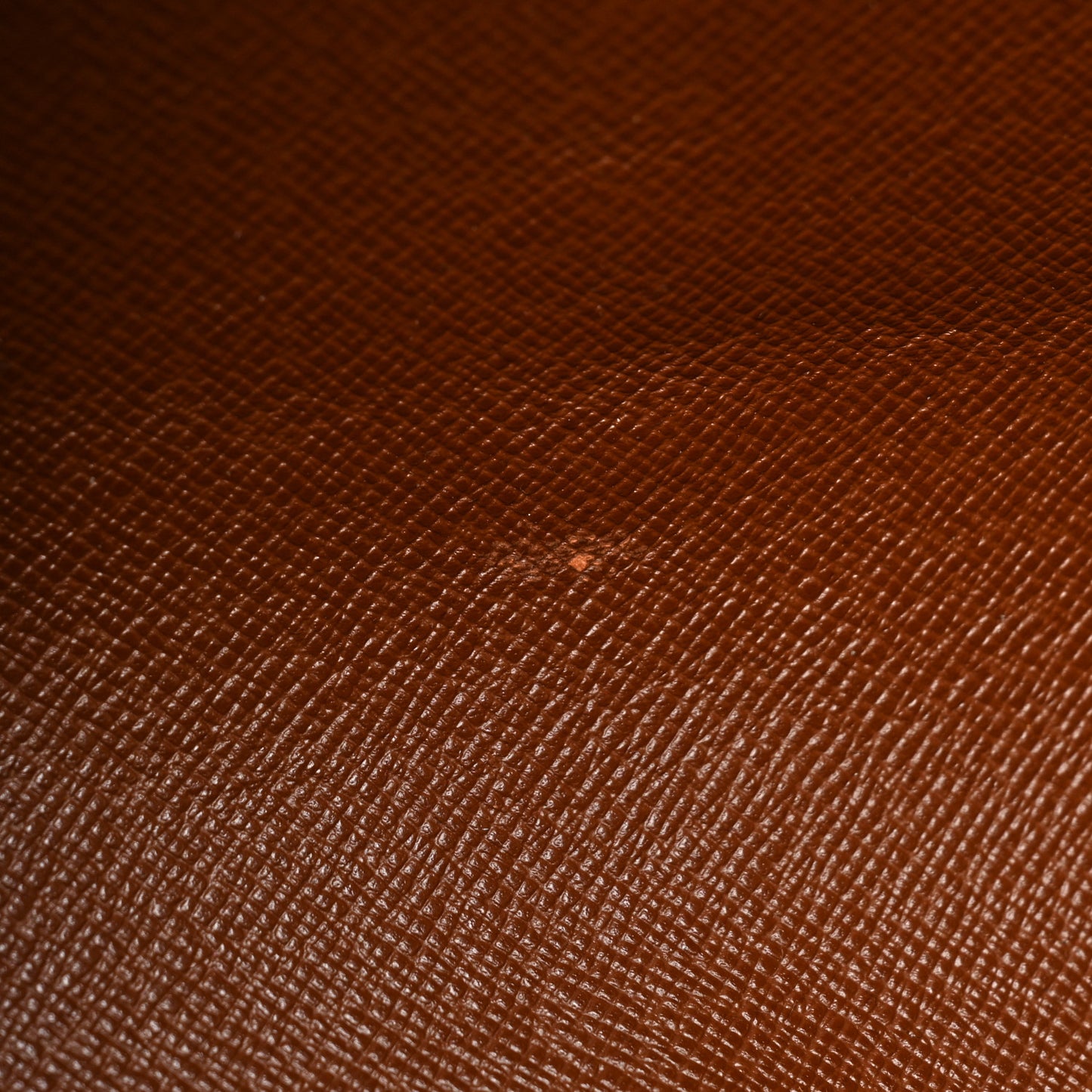 Monogram Papillon 26