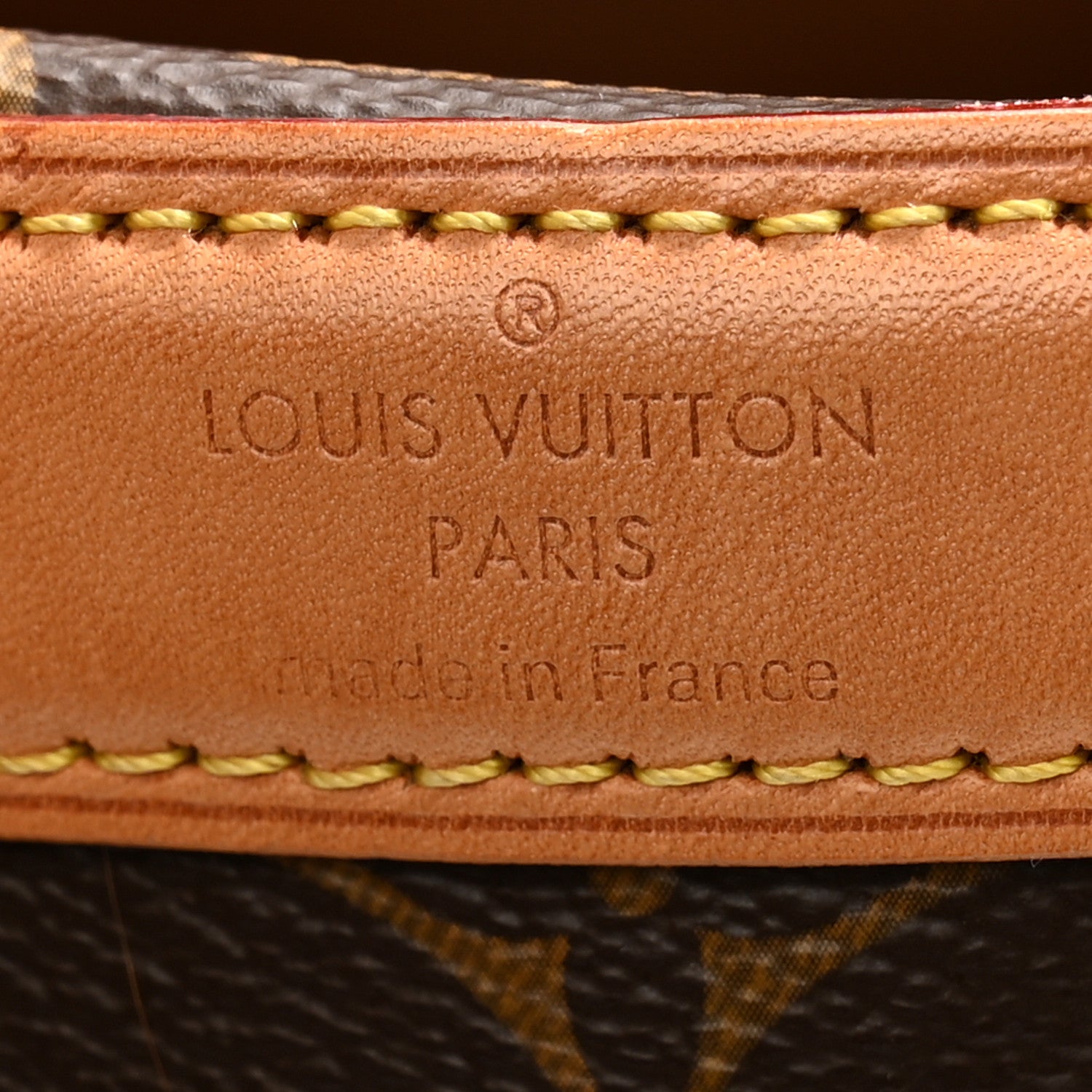 Louis Vuitton Monogram Sac Chien 40 Pet Carrier 5 of 18
