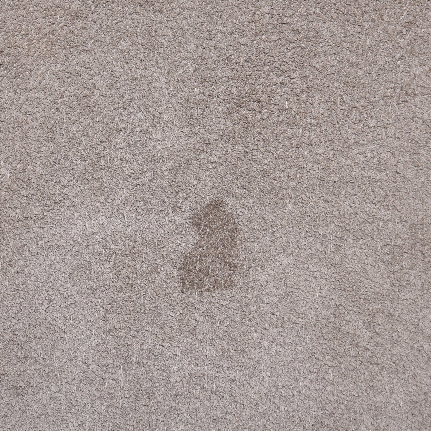 Suede Calfskin Medium Faye Backpack Motty Grey