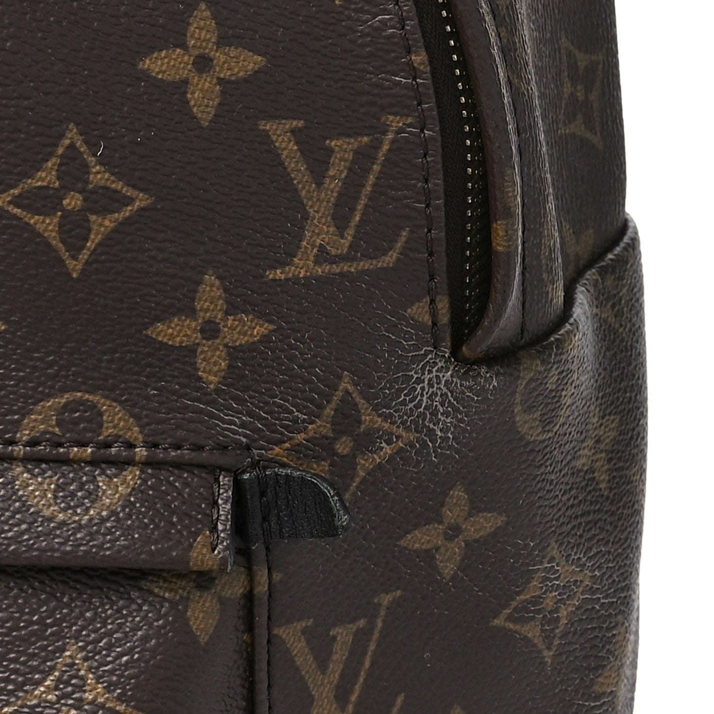 Monogram Palm Springs Backpack MM