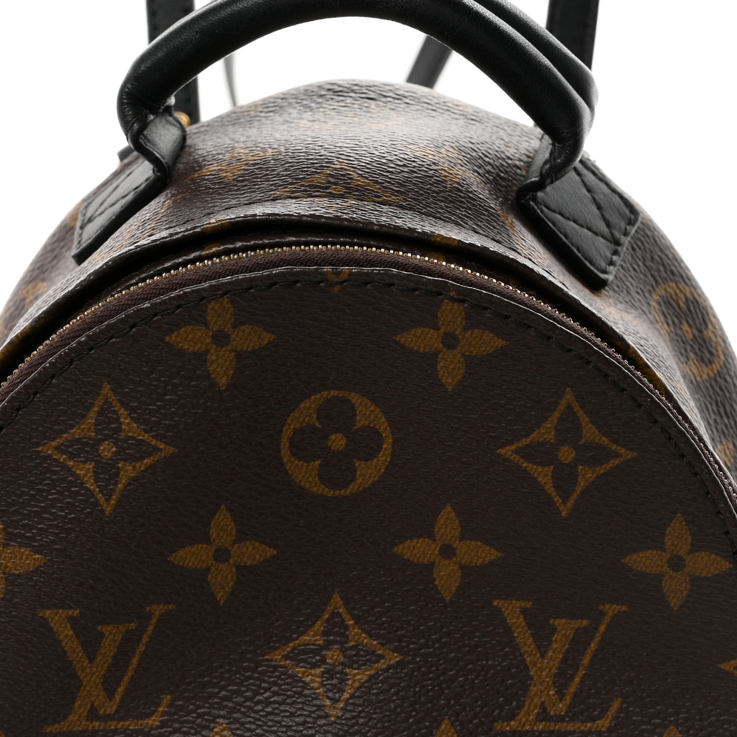 Monogram Palm Springs Backpack Mini