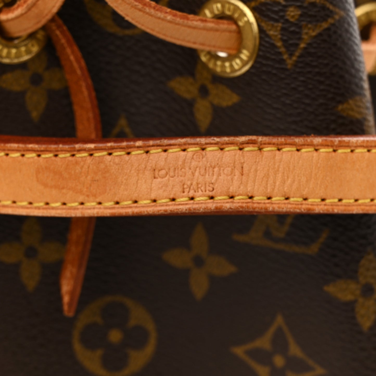 Monogram Mini Noe