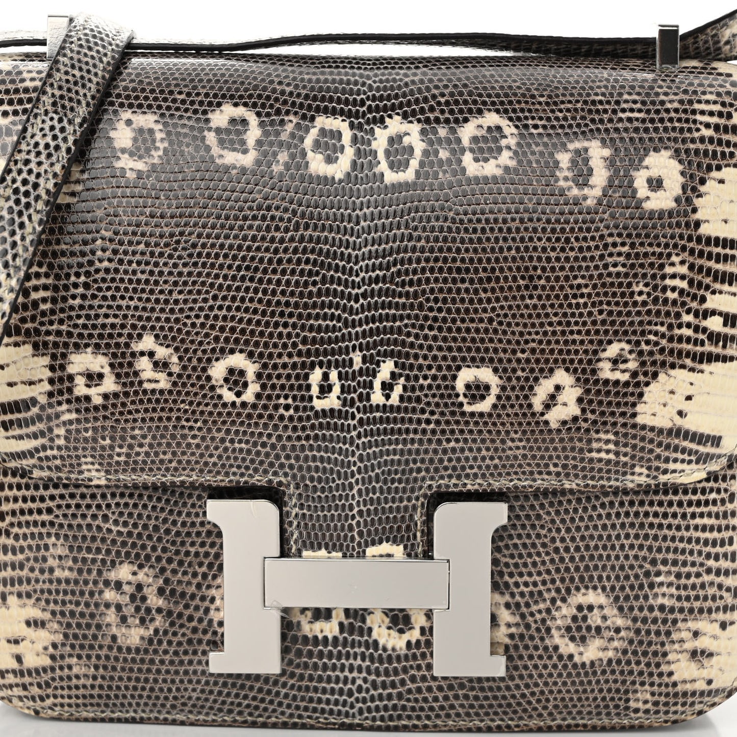 Lizard Constance 18 Ombre