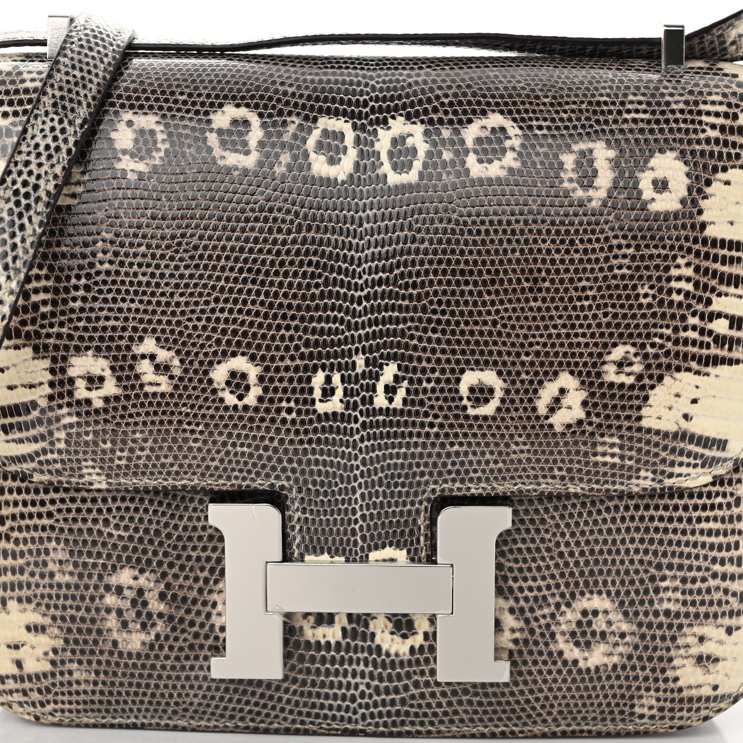 Hermes Lizard Constance 18 Ombre 8 of 11