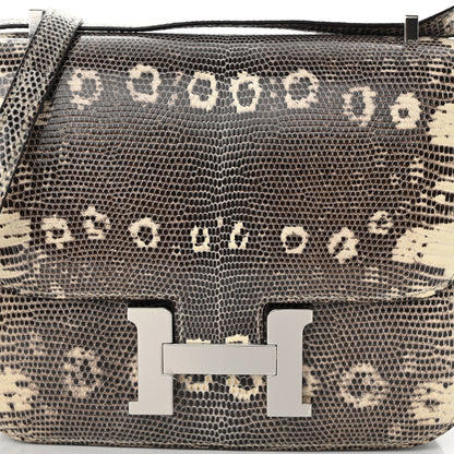 Hermes Lizard Constance 18 Ombre 8 of 11