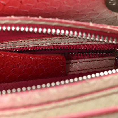 Christian Dior Snakeskin Ombre Medium Lady Dior Red White 7 of 11