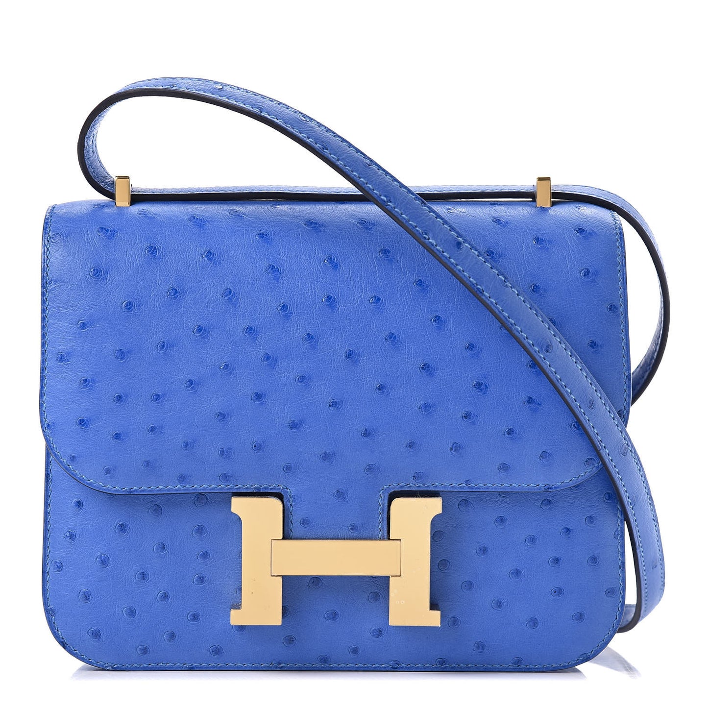 Ostrich Constance 18 Bleuet