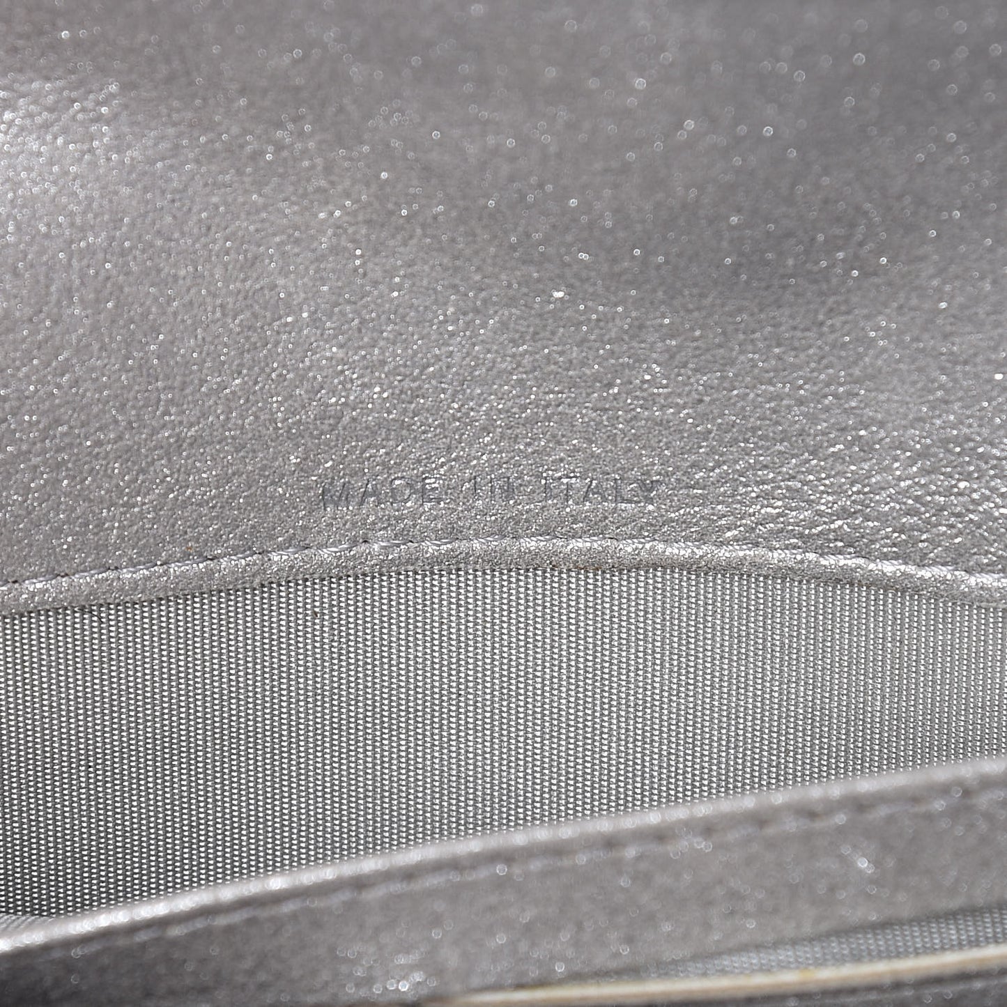 Iridescent Lizard Wallet With Removable Chain Silver