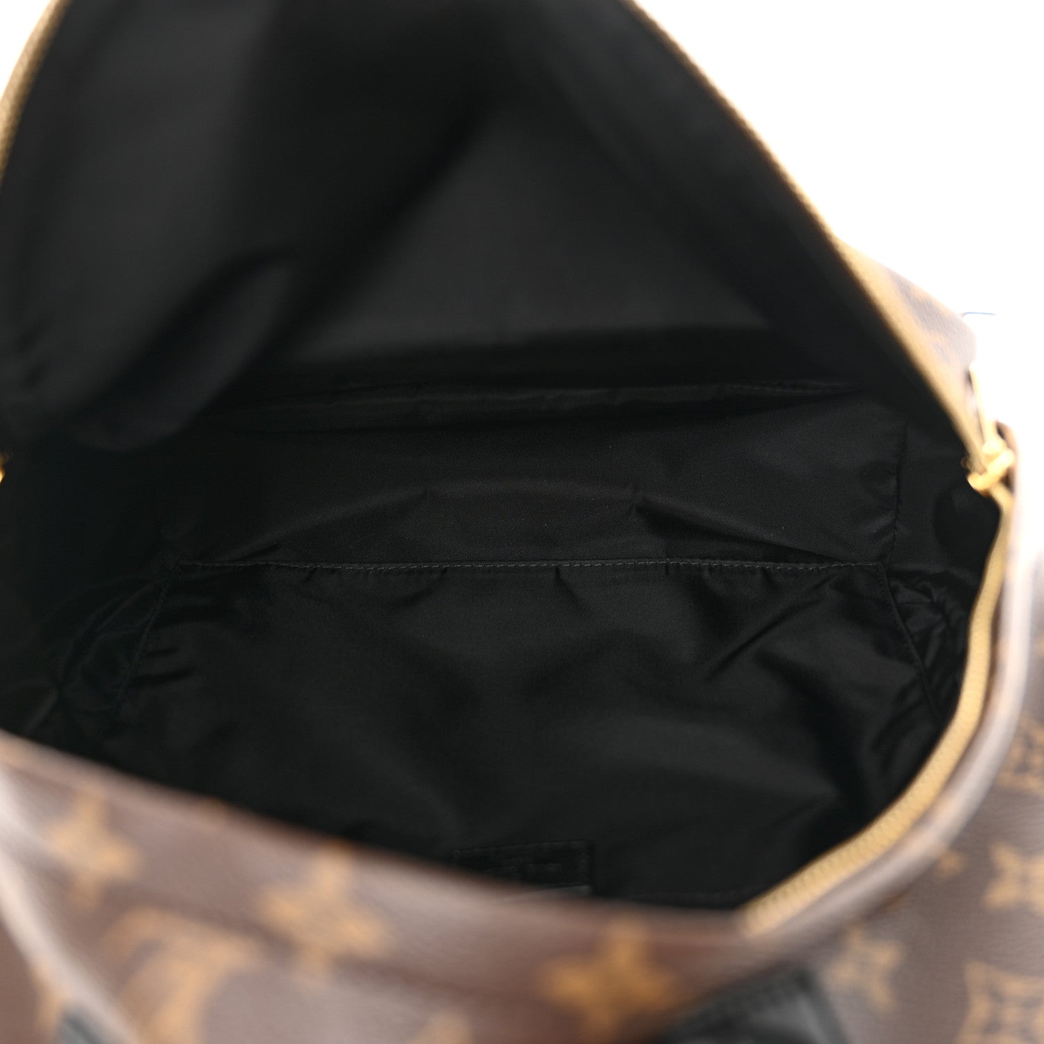 Louis Vuitton Monogram Palm Springs Backpack MM 5 of 14