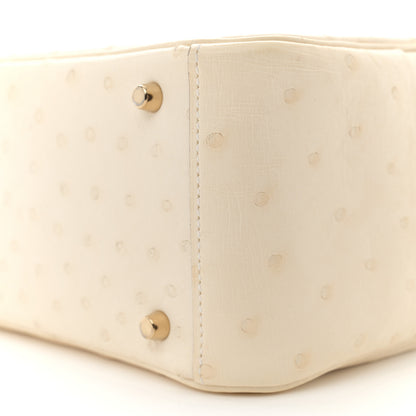 Hermes Ostrich Mini Lindy 20 Nata 10 of 14