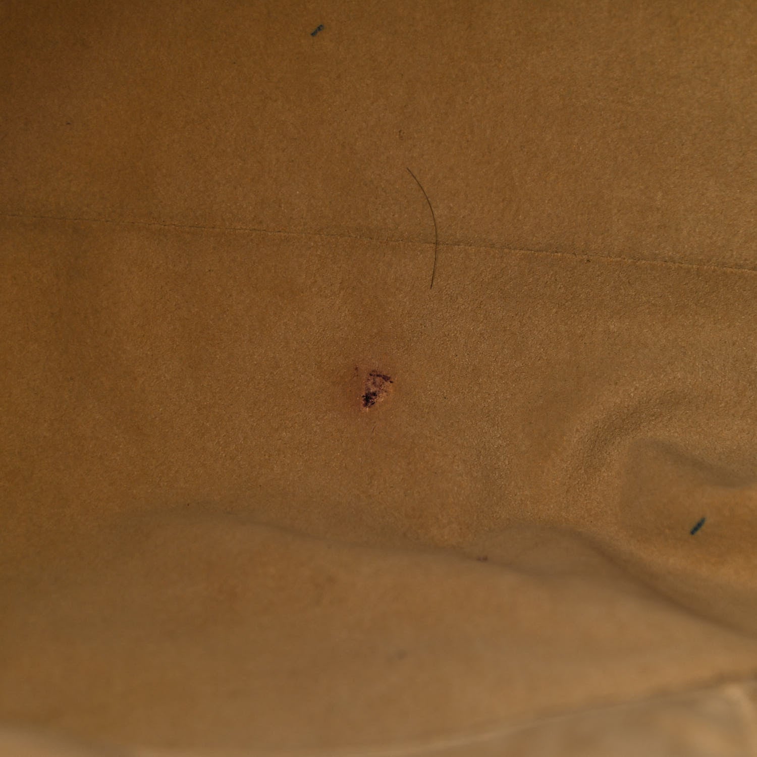 Louis Vuitton Monogram Galliera GM 9 of 14