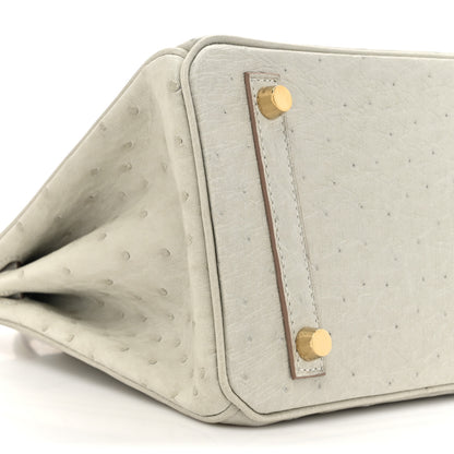 Hermes Ostrich Birkin 25 Gris Perle 10 of 11