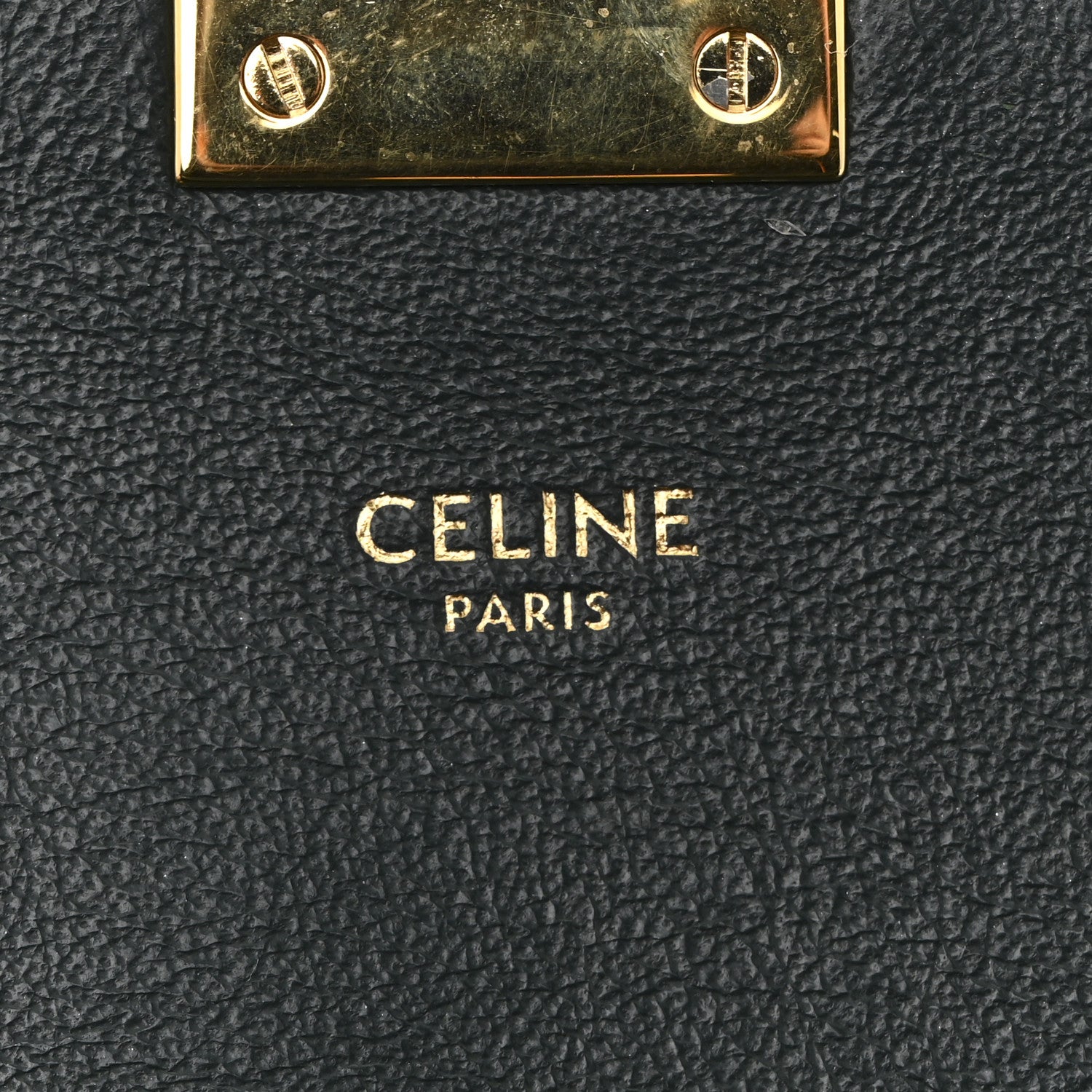 Celine Shiny Calfskin Medium C Bag Amazone 6 of 19