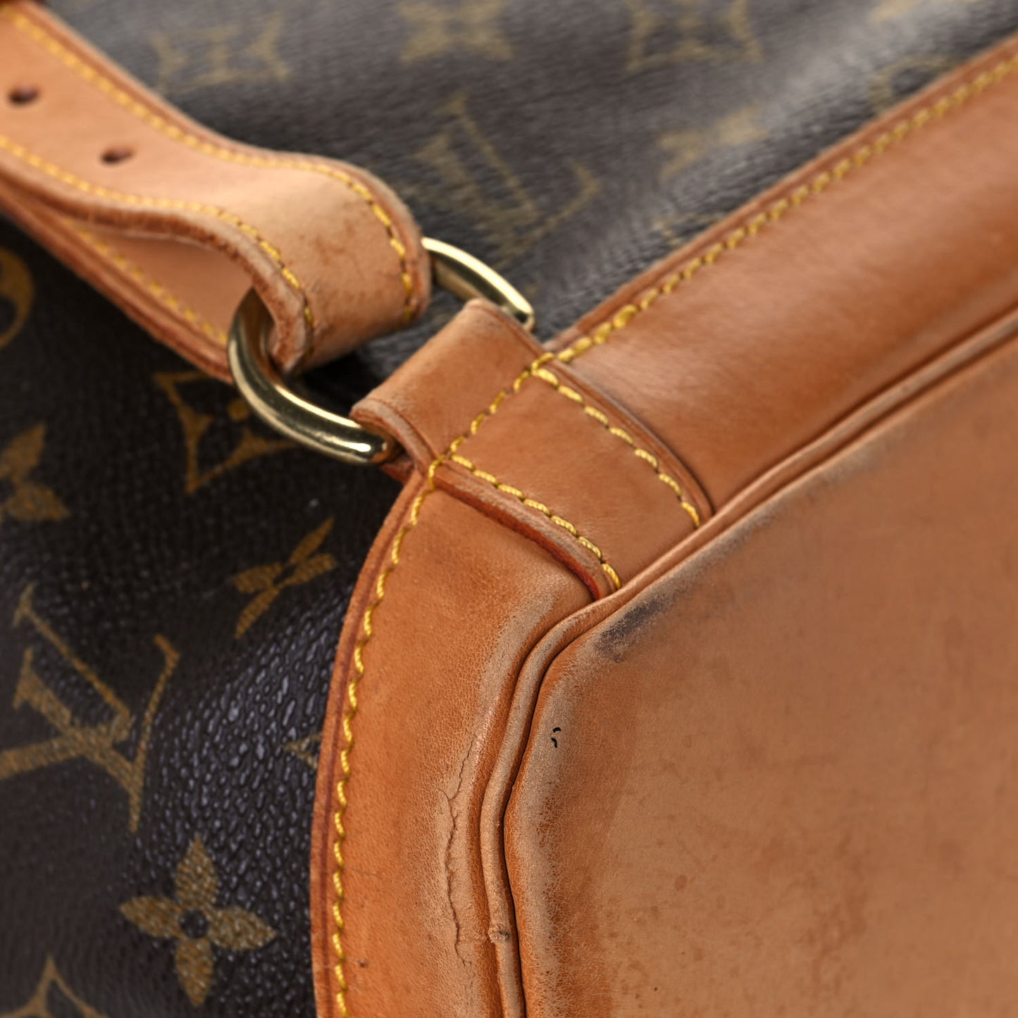 Monogram Montsouris GM Backpack