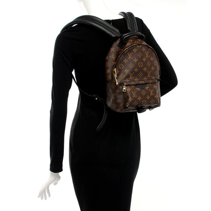 Louis Vuitton Monogram Palm Springs Backpack PM 2 of 8